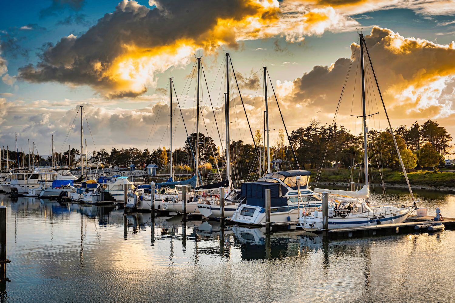 15 Best Things to Do in Emeryville, CA Travel Lens