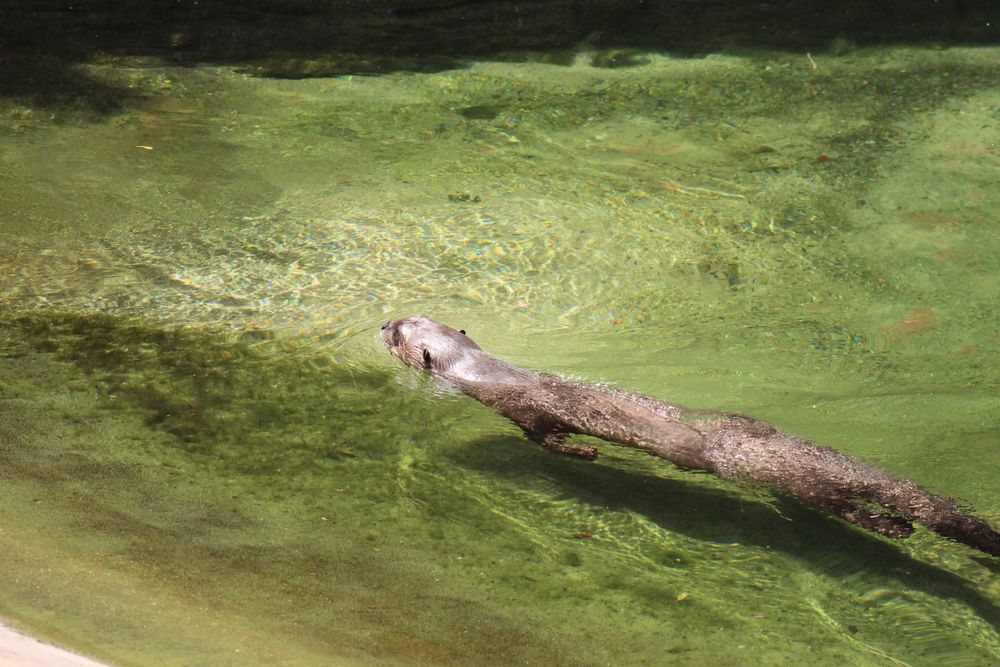 Emperor Valley Zoo