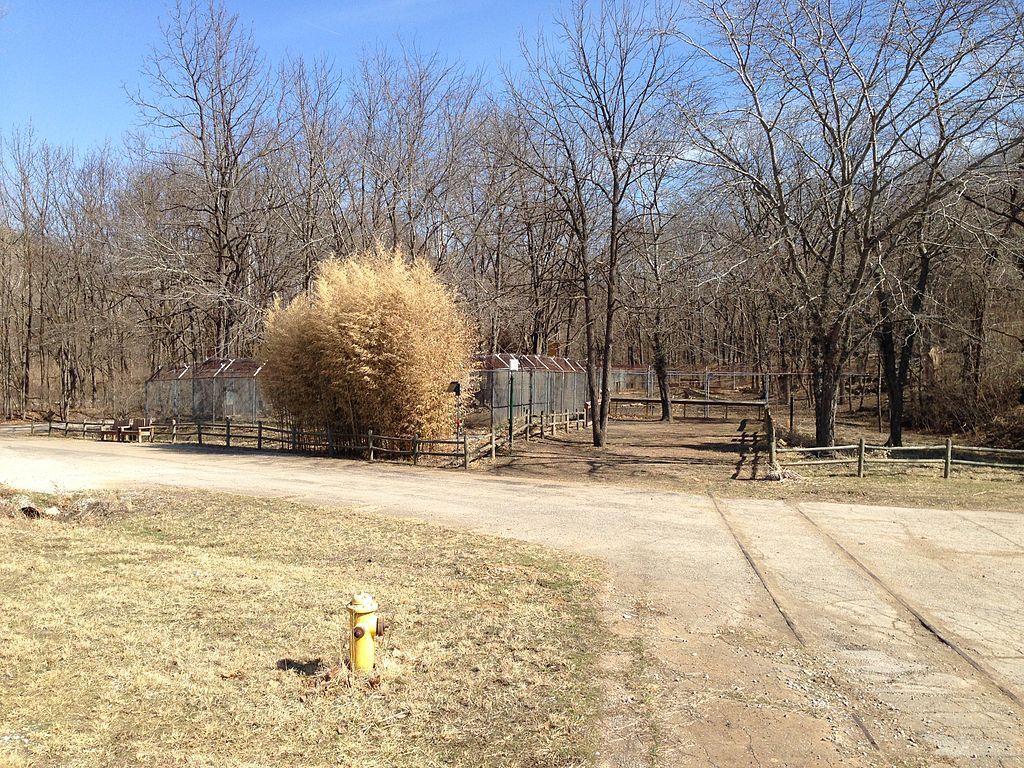 Landscape of the Endangered Wolf Center
