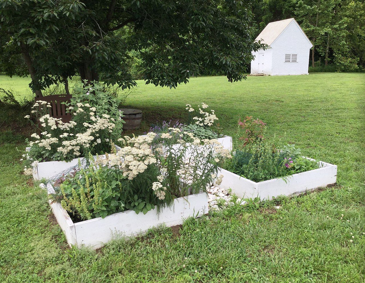 Herbal garden at Endview Plantation
