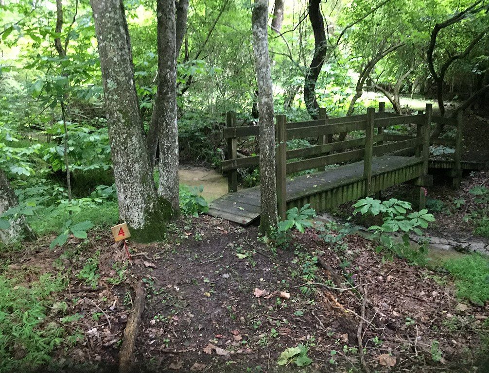 Wooden walkbridge at Endview Plantation