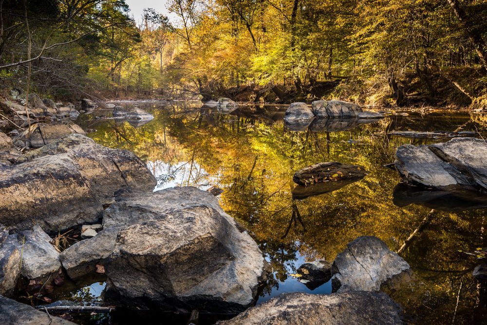 Still and reflective waters of Eno River State Park