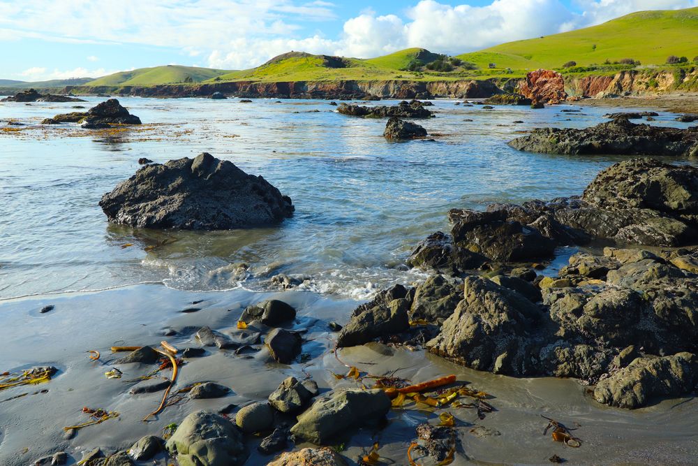 Rocky shore of Estero Bluffs State Park