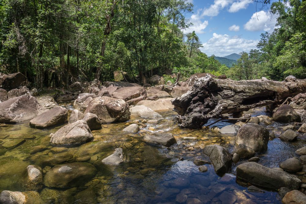 Eungella National Park
