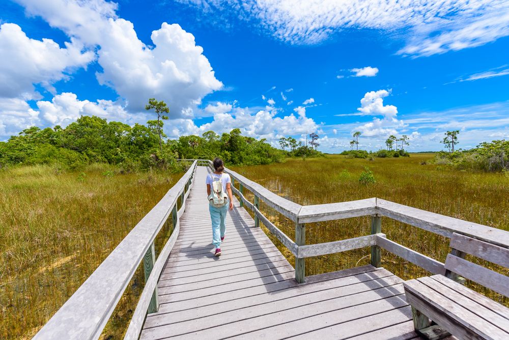 Boardwalk at Everglades National Park