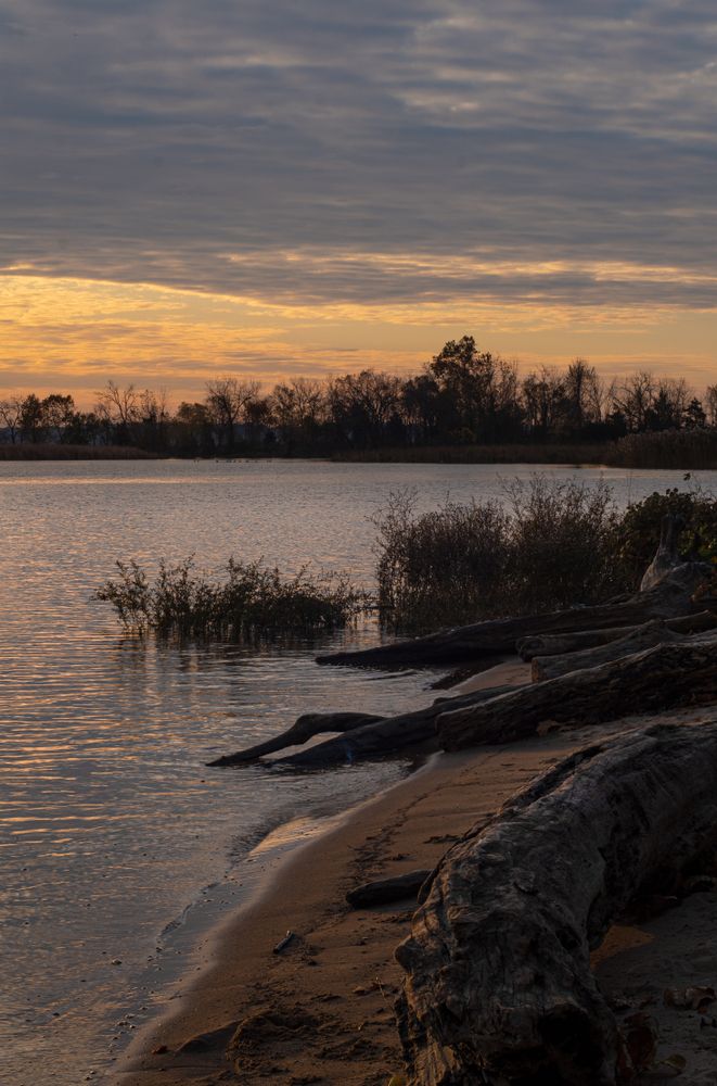 Scenic view of Dyke Marsh Wildlife Preserve