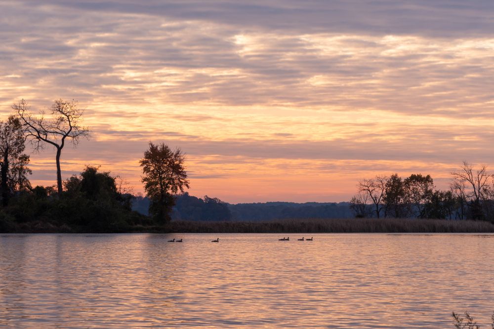 The waters of Dyke Marsh Wildlife Preserve