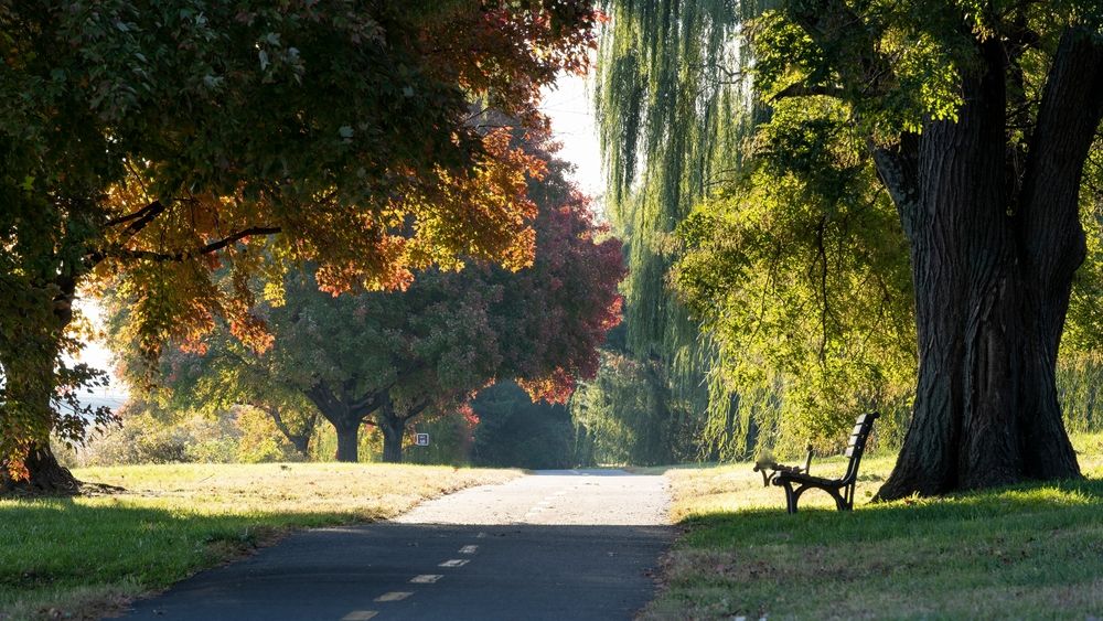 Scenic view of Mt. Vernon Trail