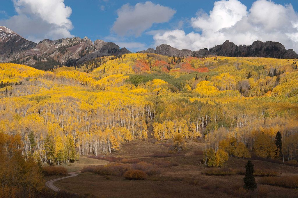 Scenic view of Kepler Pass