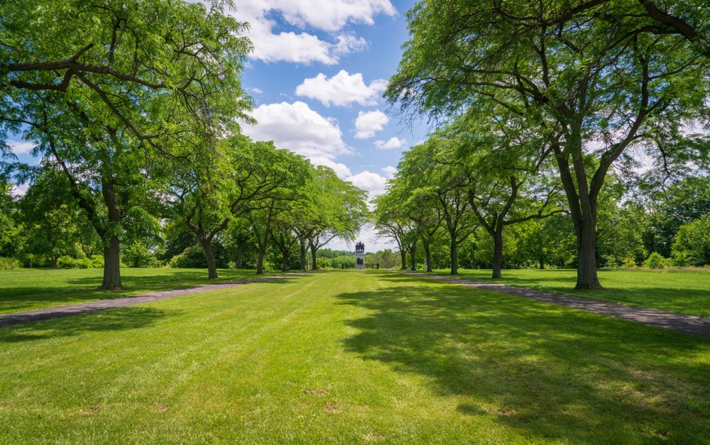 Perfectly lined trees at the Fallen Timbers Battlefield