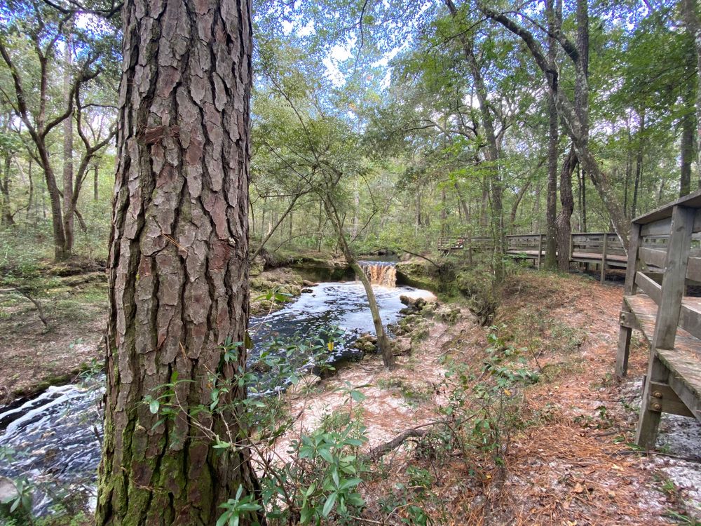 Trail at Falling Creek Falls