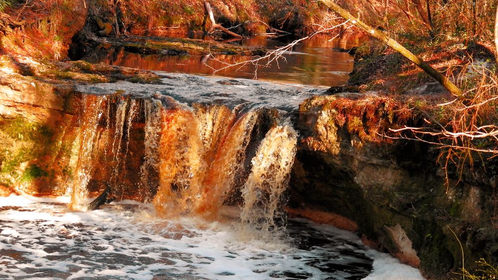 View of Falling Creek Falls