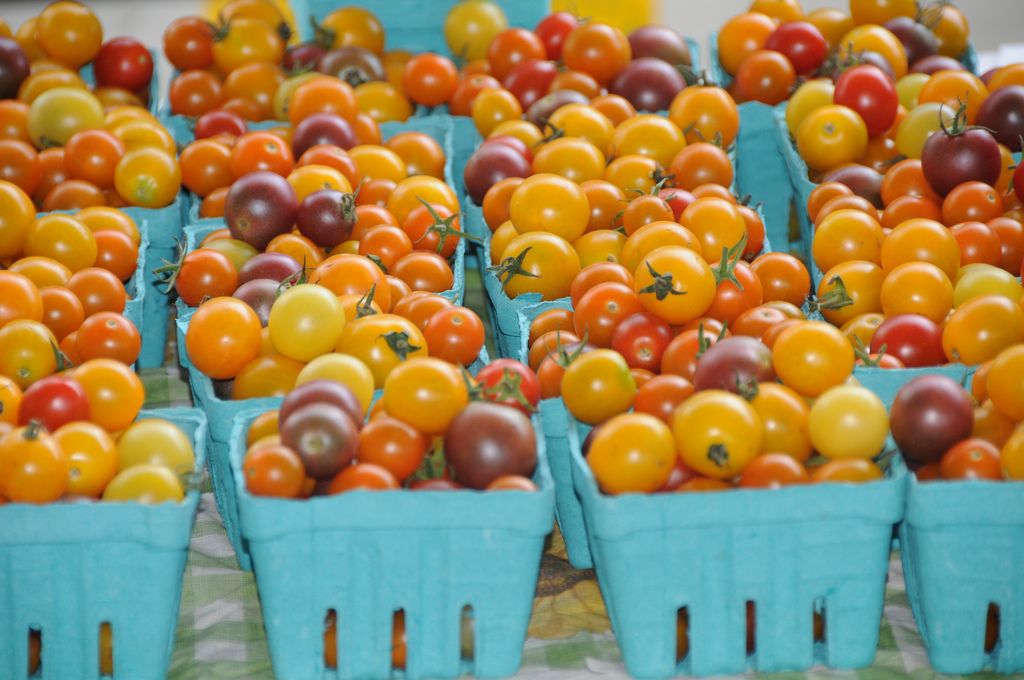 Fresh tomatoes at Farmer's Market