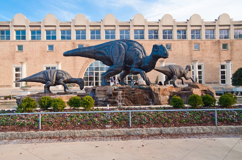 Dinosaurs at Fernbank Museum