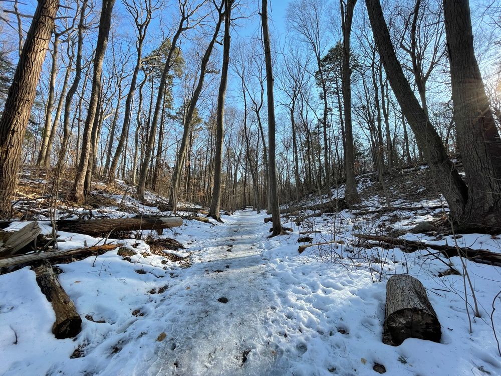 Snow-covered trail at Ferncliff Forest