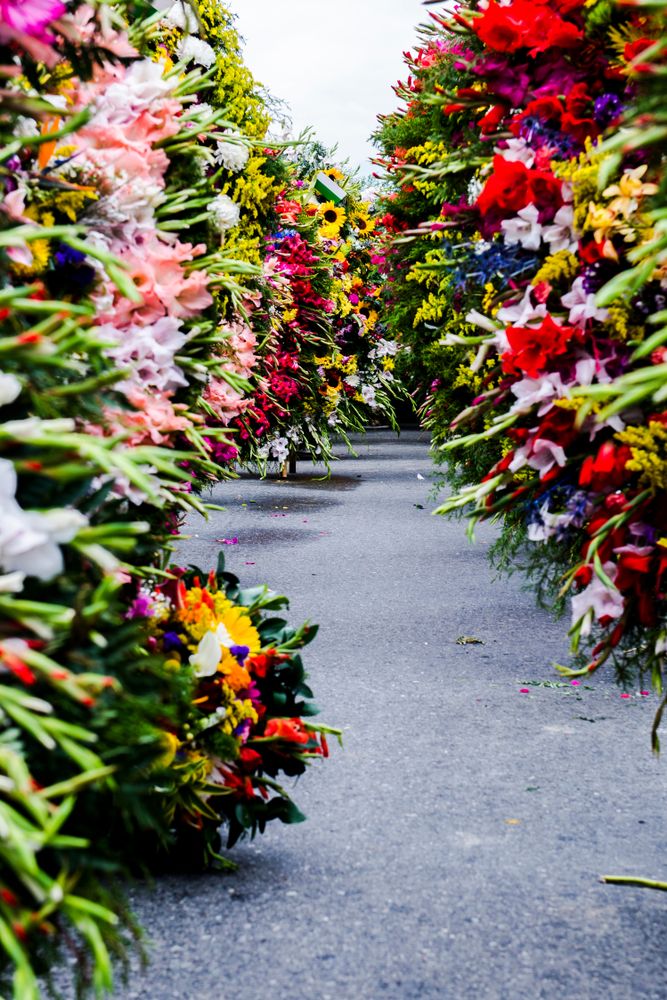 Festival of Flowers