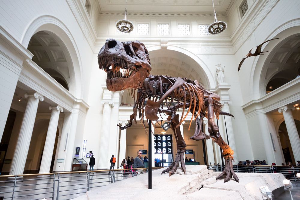 Field Museum of Natural History