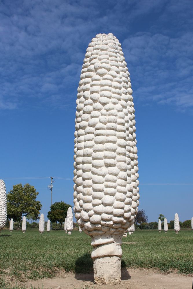 Giant Corncob at Field of Corn