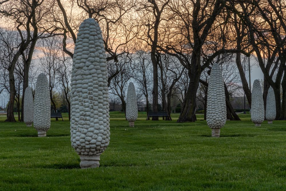 White corn sculptures at the Field of Corn