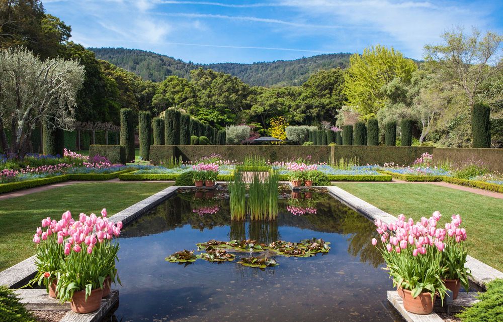 Colorful flowers at Filoli Historic House & Garden