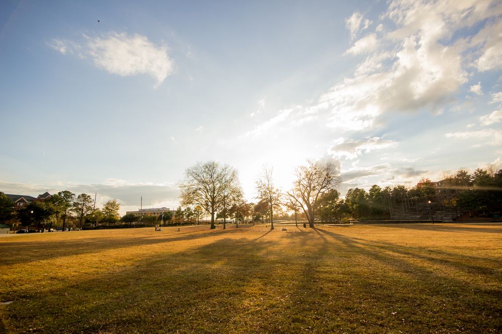 Lawn at Finlay Park