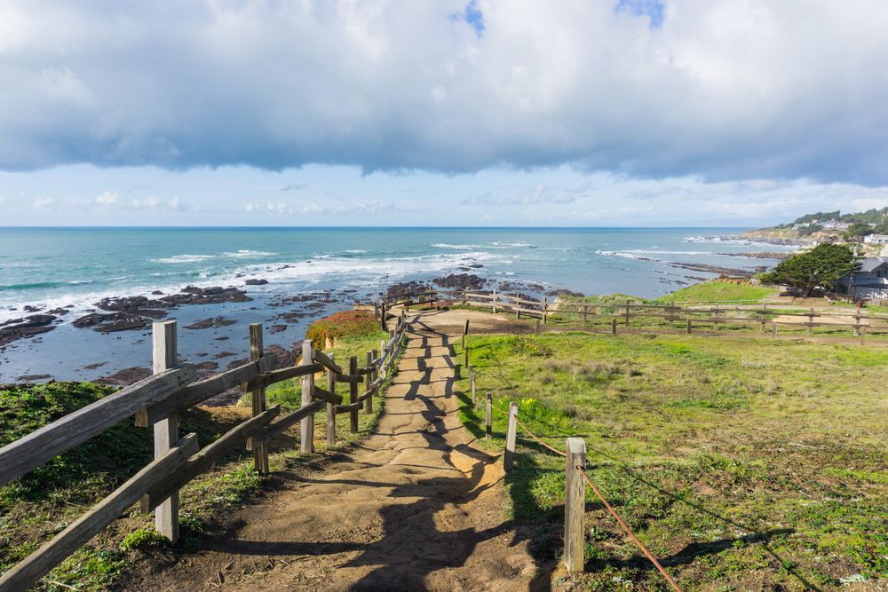 Beach at the Fitzgerald Marine Reserve