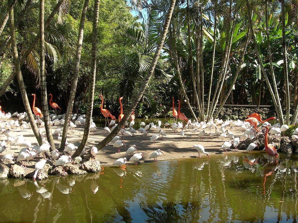 View of Flamingo Gardens