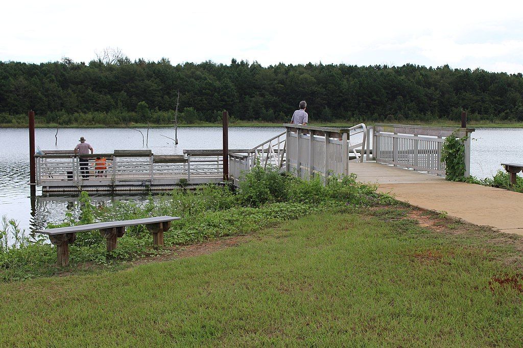 Visitors fishing in Flat Creek Public Fishing Area