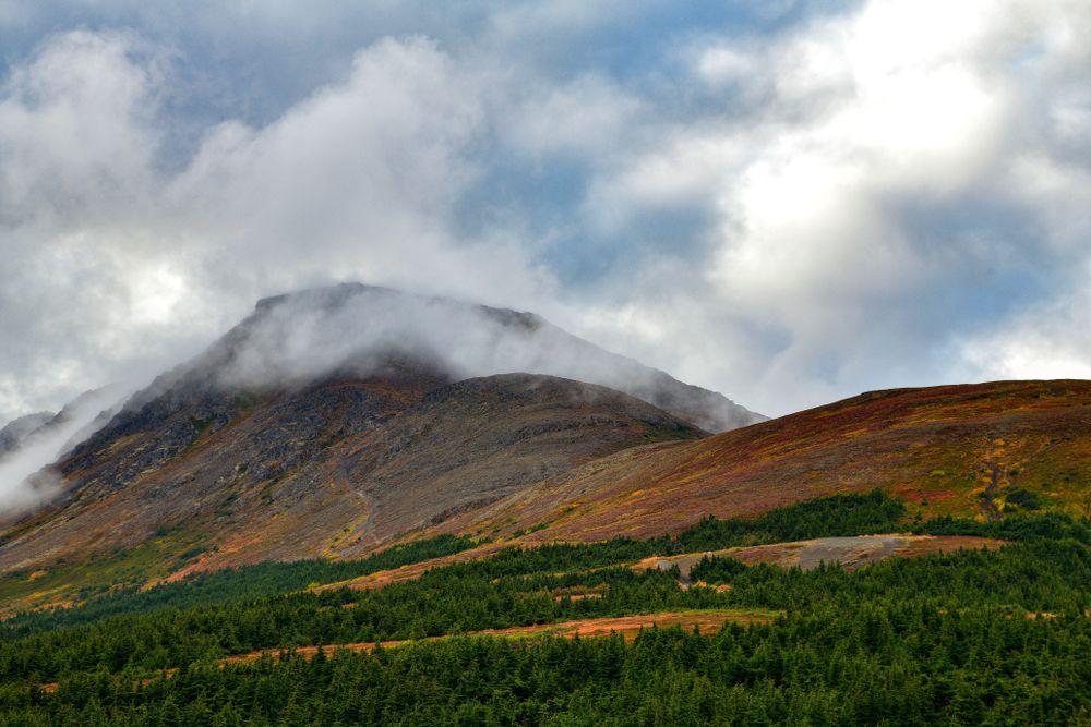 Scenic view of Flattop mountain