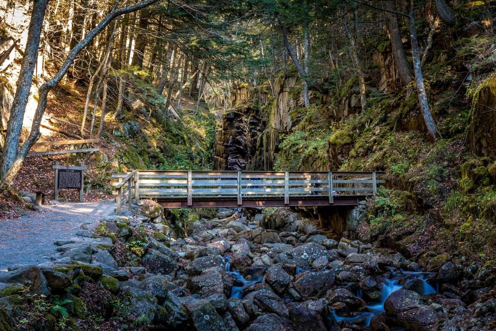 Wooden bridge at Flume Gorge