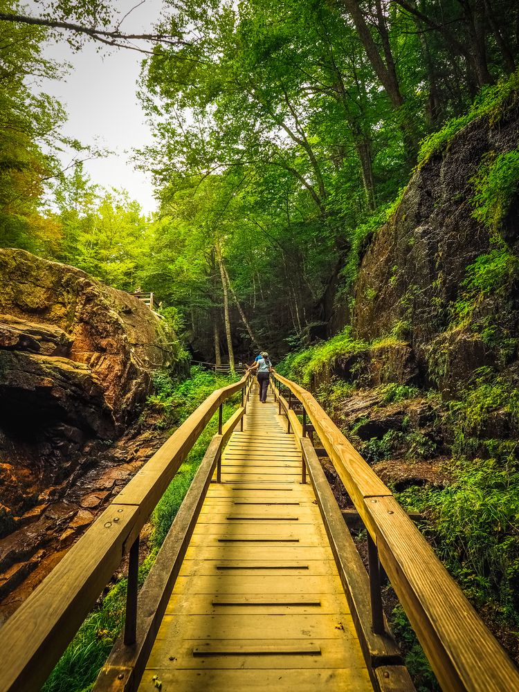 Hikers walking on the boardwalk at Flume Gorge
