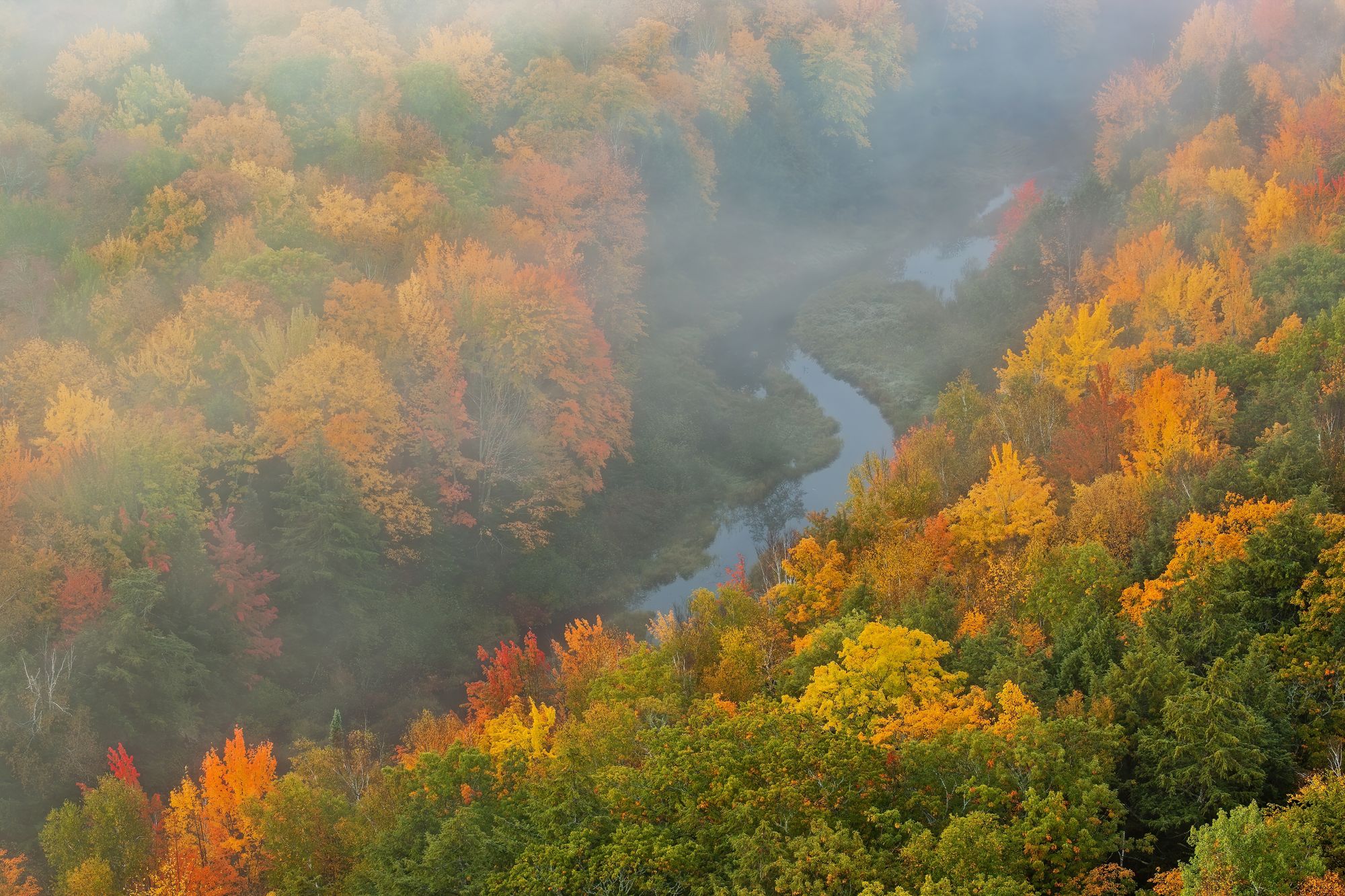 Foggy Landscape of Lake of the Clouds