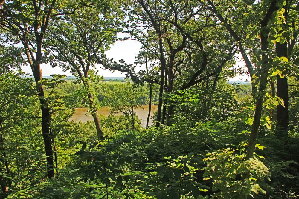 View of Missouri river from Fontenelle Forest