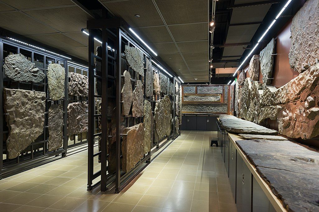 Inside view of Beneski Museum of Natural History