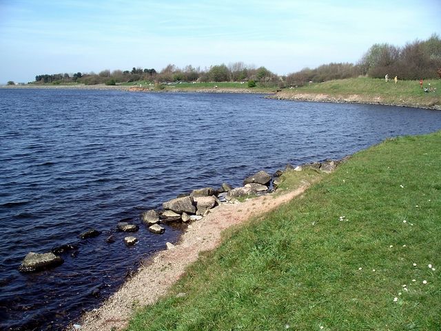 Shore of Foremark Reservoir