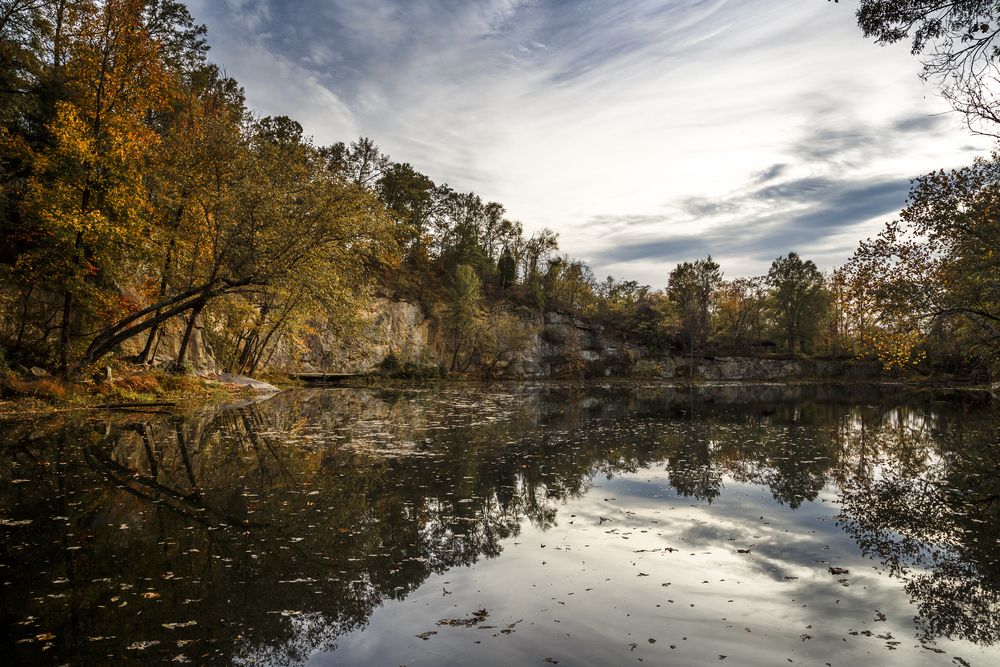 Picturesque view of a lake at Forest Hill Park