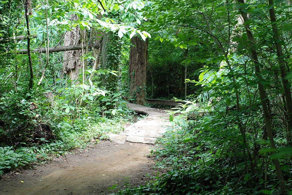 Nature trail at Forest Hill Park