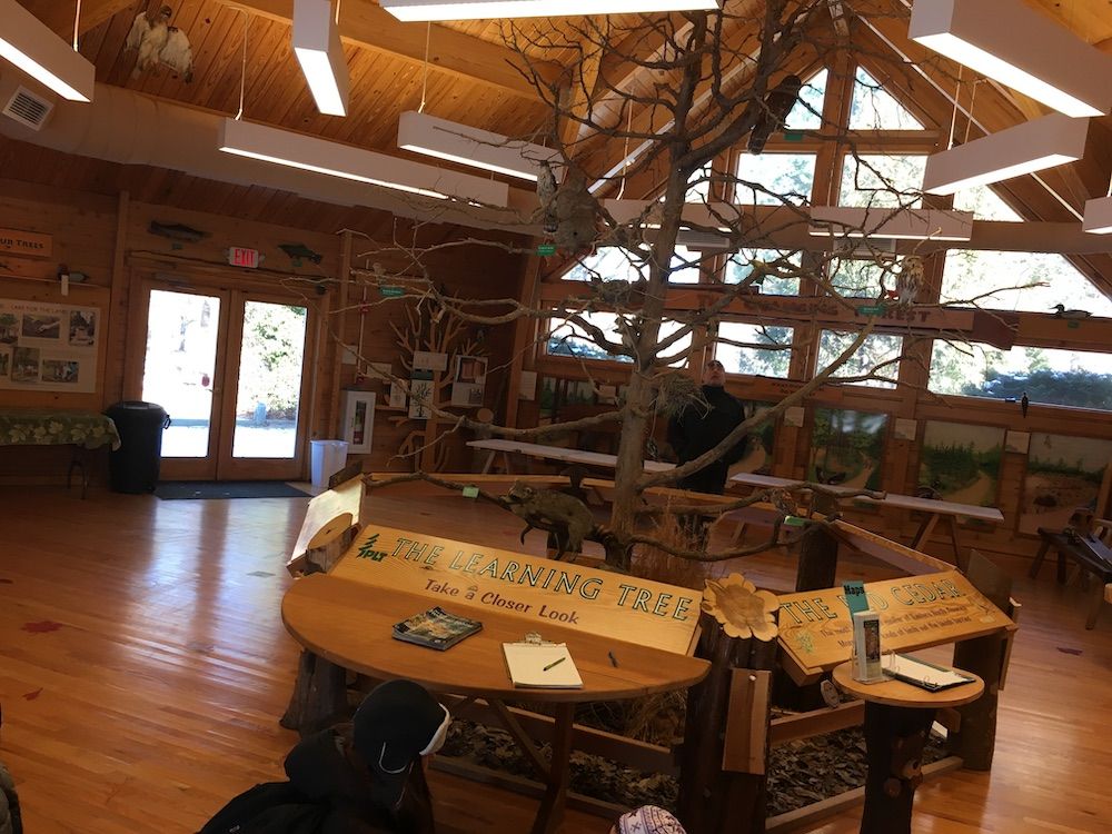 Display in Foresr Resource Education Center