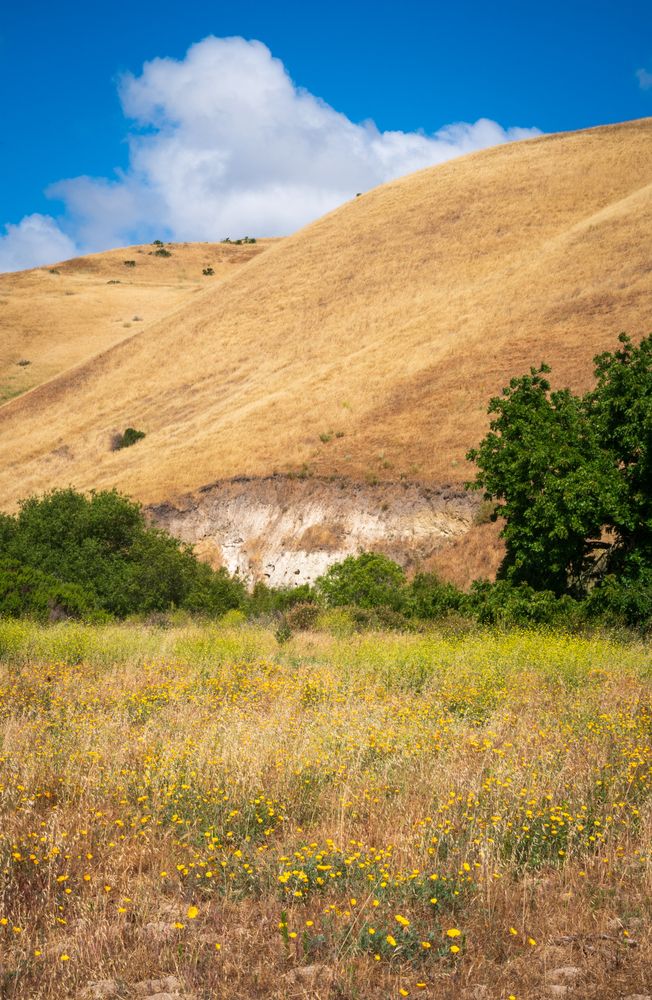 View of Fort Ord Dunes State Park