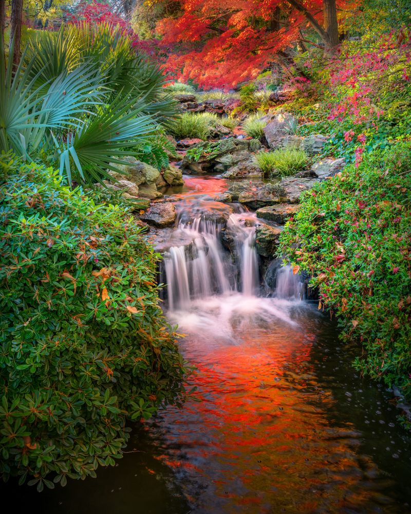 Japanese garden in Fort Worth Botanic Garden