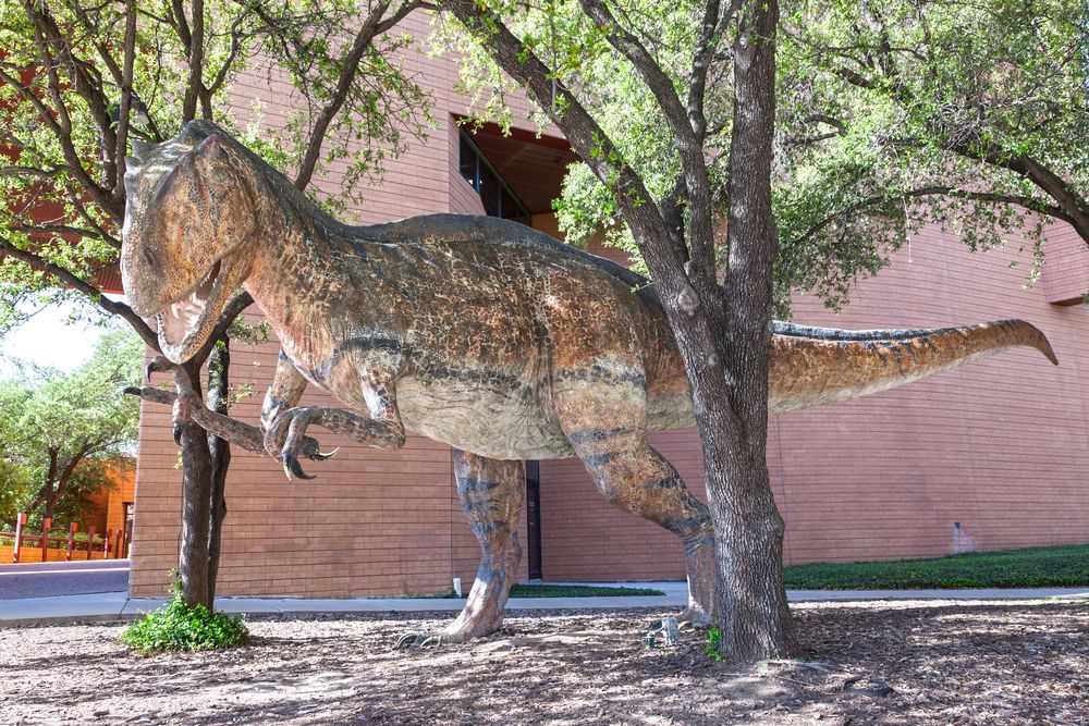 Dinosaur in Fort Worth Museum of Science and History