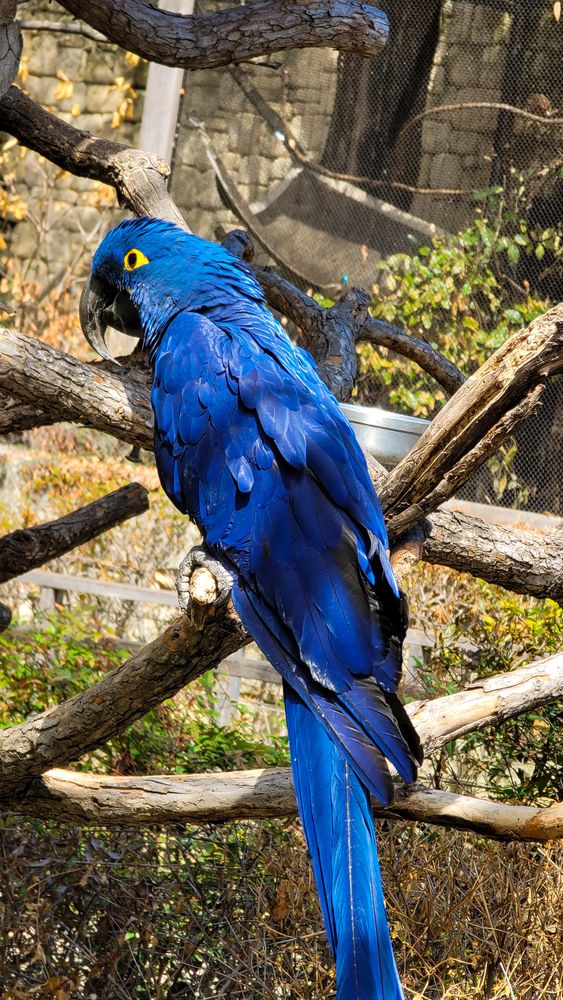 Bird at Fort Worth Zoo