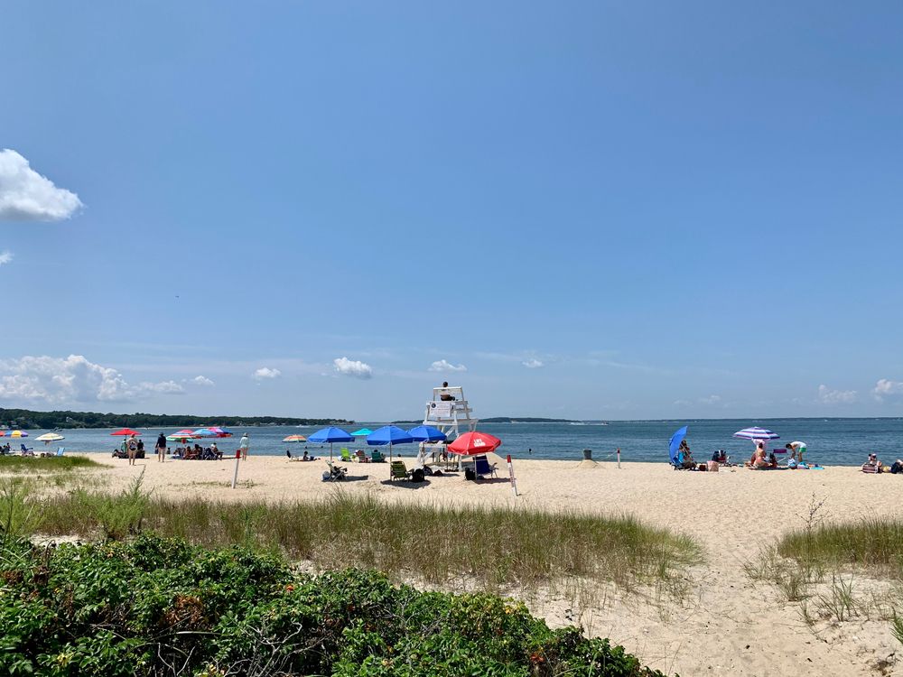People relaxing at Foster Memorial Beach