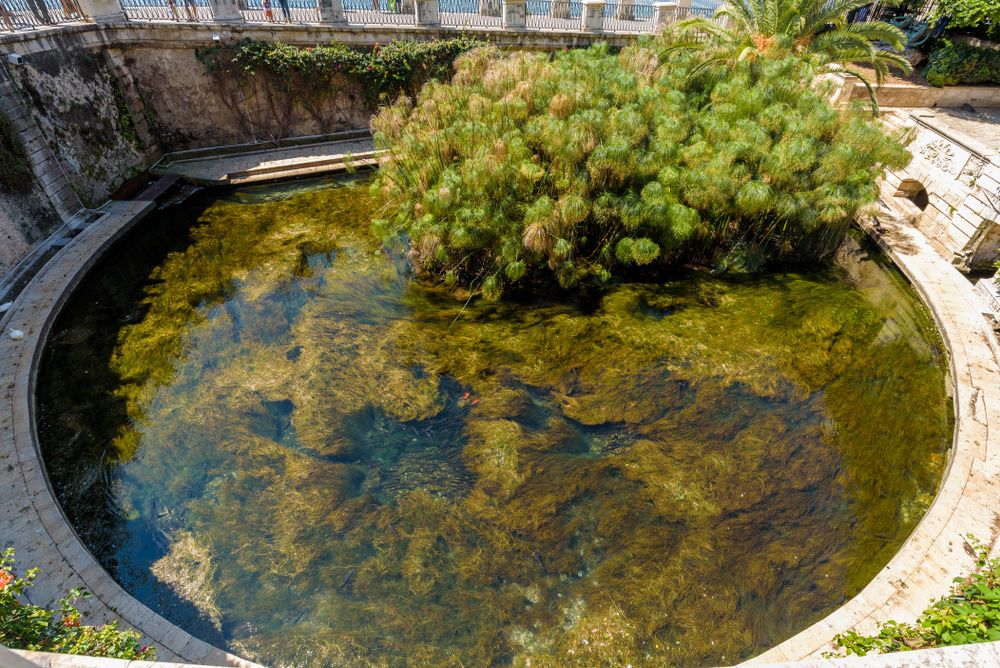 Top view of the Fountain of Arethusa