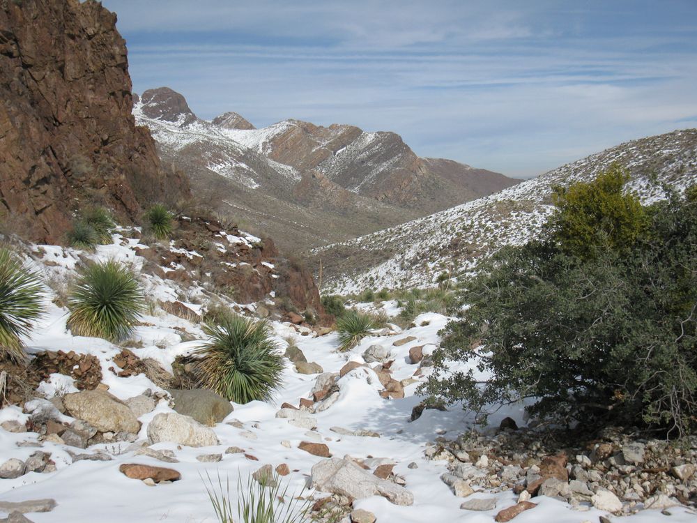 Franklin Mountains State Park during winter
