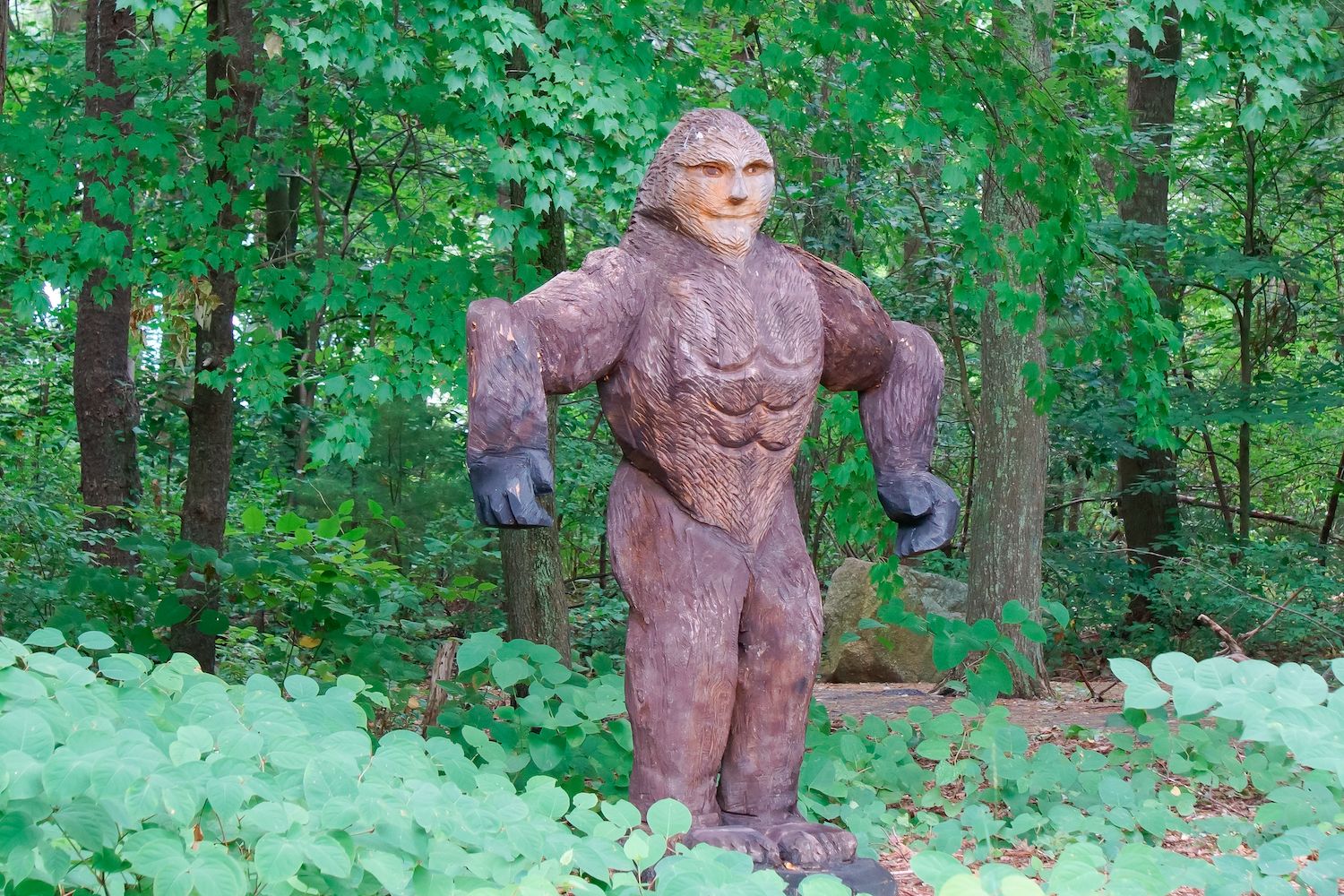 15 Best Things to Do in Franklin, MA
