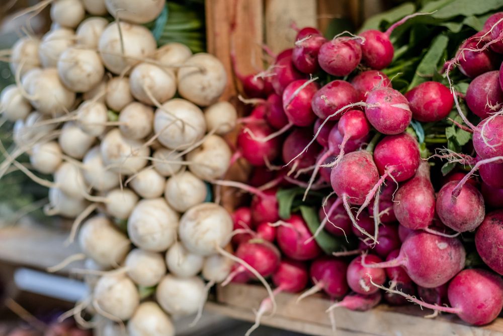 Radishes at Franklin’s Farmer Market