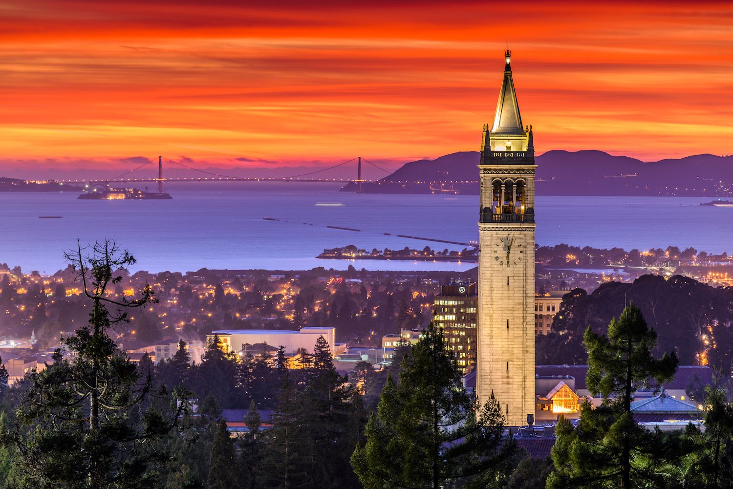 16 Free Things to Do in Berkeley, CA