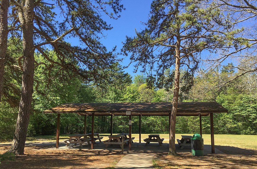 Picnic area at Freetown-Fall River State Forest