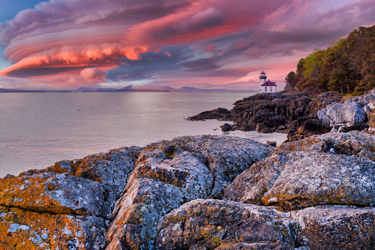 15 Best Things to Do in Friday Harbor, WA - Travel Lens